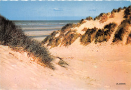 TH-VUE DE DUNES-N°C4108-B/0015 - Sonstige & Ohne Zuordnung