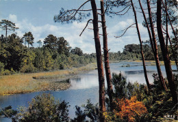 40-LES LANDES-N°C4108-B/0011 - Sonstige & Ohne Zuordnung