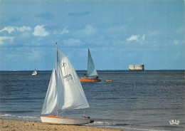 17-ILE D OLERON-N°C4108-A/0169 - Ile D'Oléron