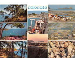35-CANCALE-N°C4108-D/0247 - Cancale