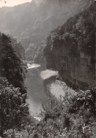 48-GORGES DU TARN-N°C4108-D/0121 - Gorges Du Tarn