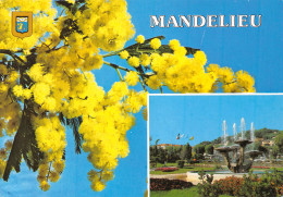 06-MANDELIEU-N°C4108-C/0025 - Autres & Non Classés