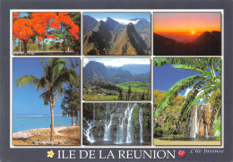 REU-ILE DE LA REUNION-N°C4109-B/0369 - Altri & Non Classificati