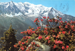 74-LE MONT BLANC-N°C4109-B/0265 - Sonstige & Ohne Zuordnung