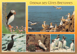 29-BRETAGNE-N°C4109-A/0321 - Sonstige & Ohne Zuordnung