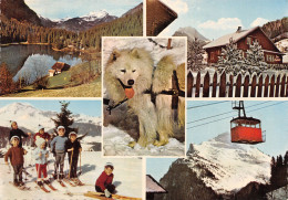 74-MORZINE-N°C4109-A/0065 - Morzine