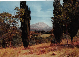 13-AIX EN PROVENCE-N°C4109-D/0393 - Aix En Provence