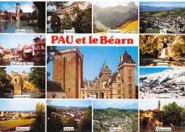 64-PAU-N°C4109-D/0375 - Pau