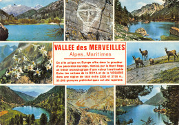 06-VALLEE DES MERVEILLES -N°C4109-C/0313 - Sonstige & Ohne Zuordnung