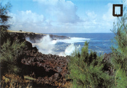 REU-ILE DE LA REUNION-N°C4110-C/0161 - Autres & Non Classés