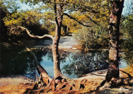 77-FONTAINEBLEAU-N°C4110-C/0035 - Fontainebleau