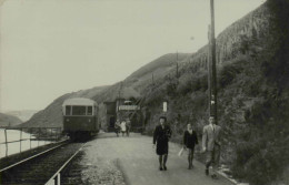 Reproduction - Train à Identifier - Treinen