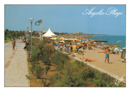 66-ARGELES SUR MER-N°C4110-B/0279 - Argeles Sur Mer