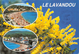 83-LE LAVANDOU-N°C4110-A/0041 - Le Lavandou