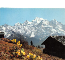 74-MASSIF DU MONT BLANC-N°C4110-D/0269 - Sonstige & Ohne Zuordnung