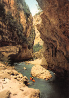 83-LES GORGES DU VERDON-N°C4110-D/0151 - Sonstige & Ohne Zuordnung