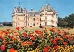 72-LE LUDE LE CHATEAU-N°C4111-C/0201 - Sonstige & Ohne Zuordnung