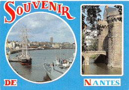 44-NANTES-N°C4111-C/0025 - Nantes