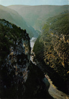 07-LES GORGES DE L ARDECHE-N°C4111-B/0365 - Altri & Non Classificati