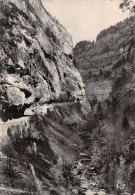 26-LES GORGES DE LA BOURNE-N°C4111-B/0297 - Sonstige & Ohne Zuordnung