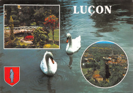 85-LUCON-N°C4111-B/0097 - Lucon