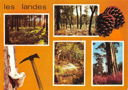 40-LES LANDES-N°C4111-B/0071 - Altri & Non Classificati