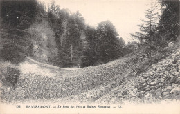 88-REMIREMONT-N°C4111-E/0237 - Remiremont