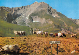 65-LE COL DU SOULOR-N°C4111-D/0247 - Sonstige & Ohne Zuordnung