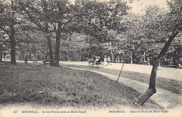 MONTRÉAL (P.Q.) Dans La Forêt Du Mont Royal - Ed. Neurdein ND Phot. 110 - Montreal