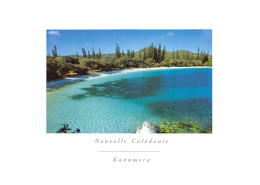 CAL-NOUVELLE CALEDONIE-N°C4112-C/0027 - Nouvelle Calédonie