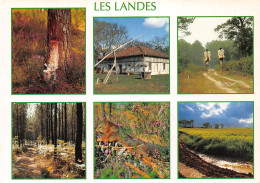 40-LES LANDES-N°C4112-A/0333 - Other & Unclassified