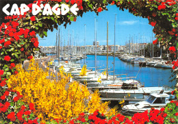 34-CAP D AGDE-N°C4112-A/0141 - Altri & Non Classificati