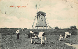 Landschap Bij ROTTERDAM (ZH) Molen - Other & Unclassified