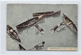 Saint Lucia - CASTRIES - Wharf Rats Diving For Money - Publ. Clarke & Co. 25 - Santa Lucia