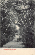 Singapore - Street In Tanglia - Publ. Max H. Hilckles 107 - Singapour