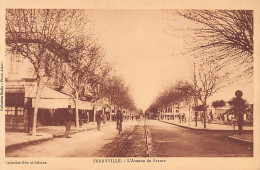Tunisie - FERRYVILLE - L'avenue De France - Ed. Bèle Et Colonna - EPA  - Túnez
