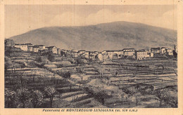 MONTEREGGIO LUNIGIANA (MS) Panorama - Otros & Sin Clasificación