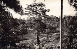 Congo Kinshasa - BOMA - Vue Sur La Brousse - CARTE PHOTO - Ed. G. Lauwaet  - Belgian Congo