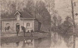 LARZICOURT  Le Haras - Sonstige & Ohne Zuordnung