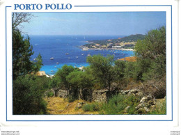 Corse Du Sud PORTO POLLO Photo I. Anger - Other & Unclassified