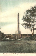 11732358 Wellington Taunton Deane Monument Taunton Deane - Altri & Non Classificati