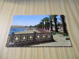 CPSM Bizerte (Tunisie).La Plage - Carte Animée. - Túnez