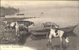 11731802 Lac Leman Genfersee Rives Du Leman Genf - Sonstige & Ohne Zuordnung