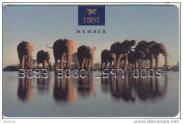 SWEDEN - Elephants, First Hotels Magnetic Member Card, Used - Hotel Keycards