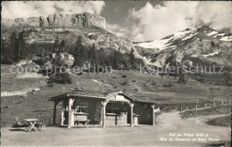 11731591 Col Du Pillon Tete Du Chamois Et Scex Rouge Col Du Pillon - Otros & Sin Clasificación