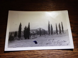 06 Carte Photo Biot Vue Générale - Biot