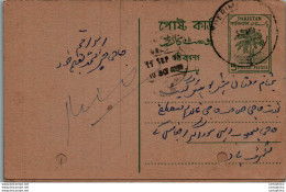 Pakistan Postal Stationery Tree 5 P - Pakistan