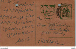 Pakistan Postal Stationery 5p Tree To Multan Kaba Bunder Road Sukkur - Pakistan