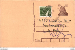 India Postal Stationery Tiger 15 To Jaipur - Postcards