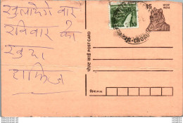 India Postal Stationery Tiger 15 Churu Cds - Postcards